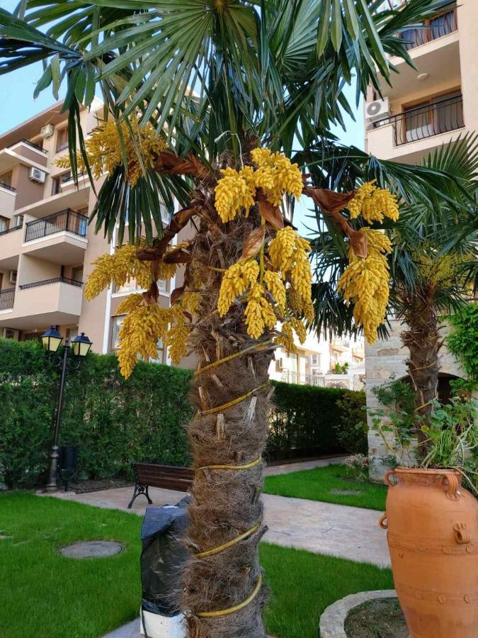 Cascadas Studio Appartement Sunny Beach Buitenkant foto